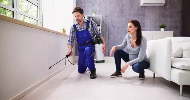 Best Real Estate Pest Inspections  in New York Mills, MN